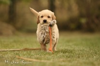 Kleines Einzelshooting