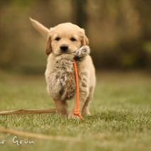 Kleines Einzelshooting