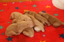 Alles Gute zum Geburtstag