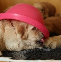 die Spiele haben begonnen